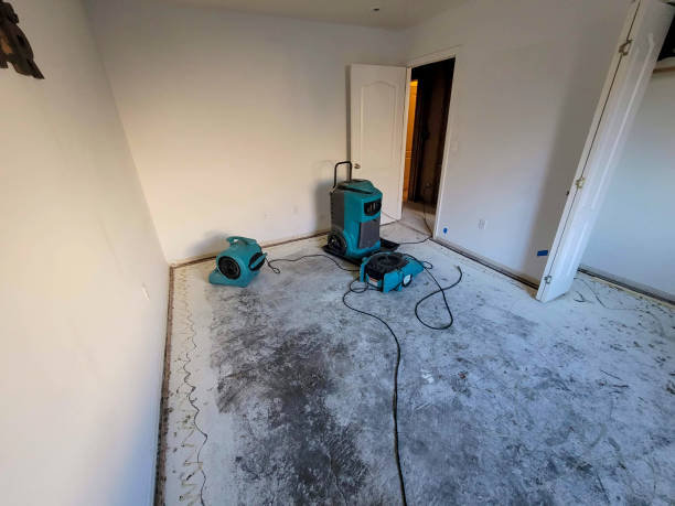  Marlin, TX Water damage restoration Pros